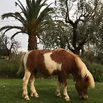 La Casa Nel Sole Appartement Castelnuovo Magra